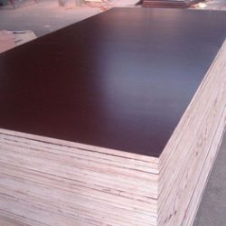 Plywood 12mm Phonelic Film